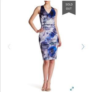 David Meister
Floral Print V-Neck Sheath Dress